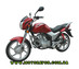 Дорожній мотоцикл, Musstang MT200-6, YAMAHA YBR-125, Musstang, MT200-6, мустанг мт 200-6