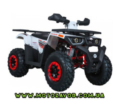 ATV Forte Braves 200