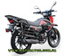 Мотоцикл Musstang Grader 250