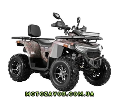 Forte SHARK 250