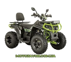 Квадроцикл Forte AFC250 PRO