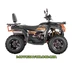 Квадроцикл Forte AFC250 PRO
