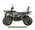 Квадроцикл Forte AFC250 PRO